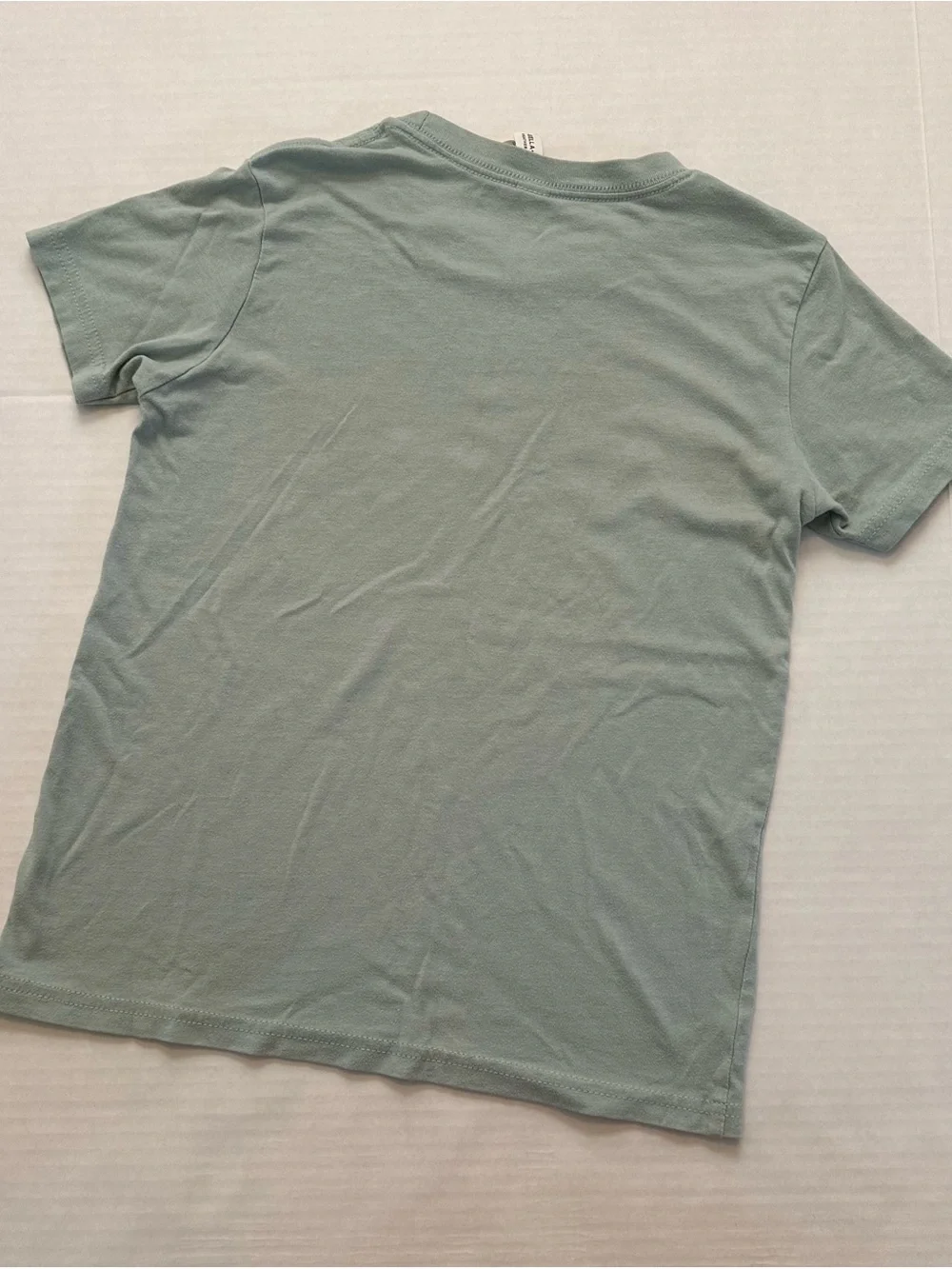 Bella+Canvas Sage Green SWIFTIE Tee with Purple-Pink Graphic